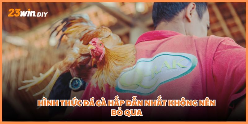 Hình thức đá gà hấp dẫn nhất không nên bỏ qua