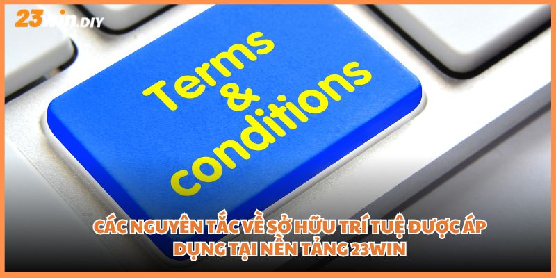 Các nguyên tắc về sở hữu trí tuệ được áp dụng tại nền tảng 23win