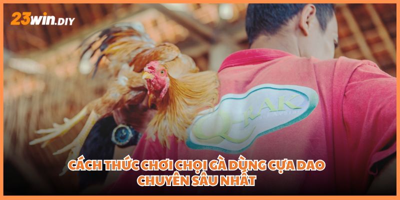 Cách thức chơi chọi gà dùng cựa dao chuyên sâu nhất