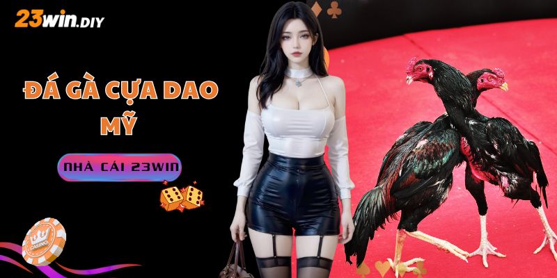 Đá gà cựa dao Mỹ