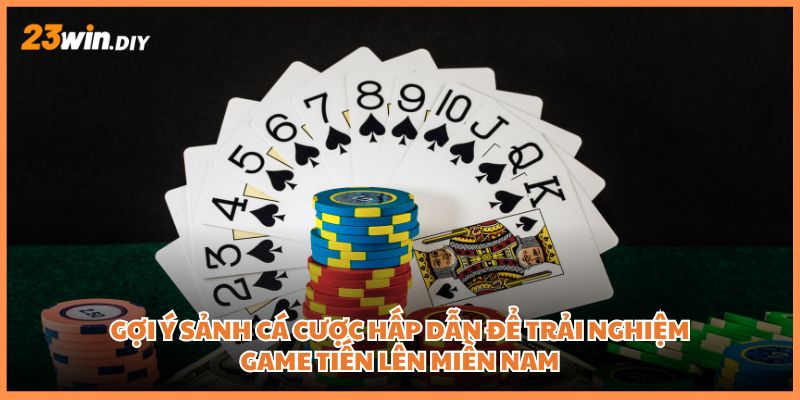 Gợi ý sảnh cá cược hấp dẫn để trải nghiệm game Tiến lên miền Nam