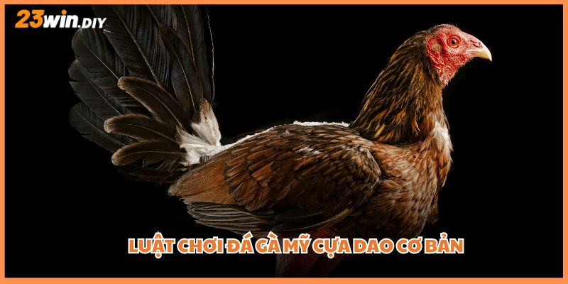 Luật chơi đá gà Mỹ cựa dao cơ bản