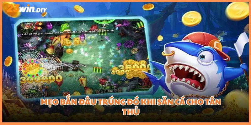 Mẹo bắn đâu trúng đó khi săn cá cho tân thủ